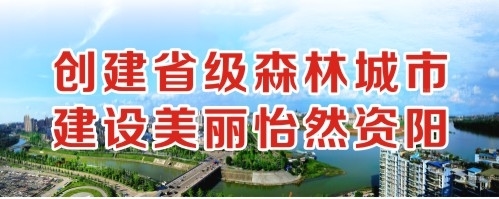 操逼片子操操操创建省级森林城市 建设美丽怡然资阳